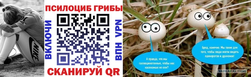 Псилоцибиновые грибы Magic Shrooms Купить закладки Терек